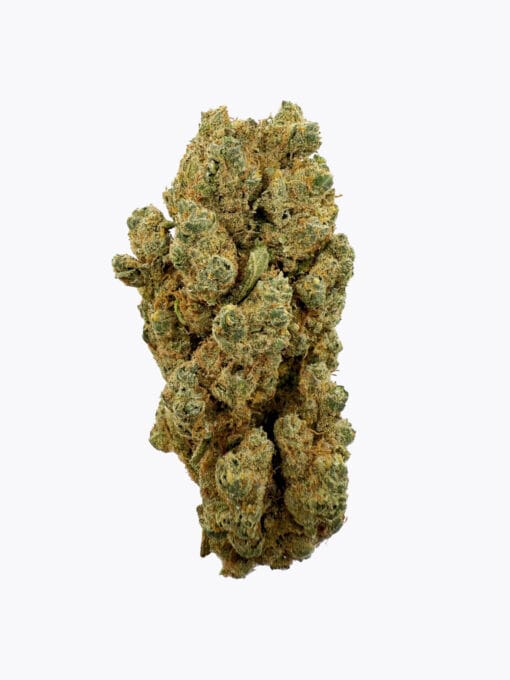 Girl Scout Cookies
